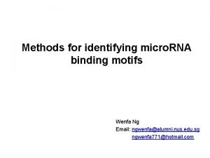 Methods for identifying micro RNA binding motifs Wenfa