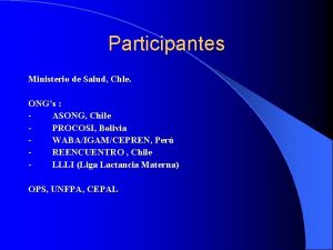 Participantes Ministerio de Salud Chle ONGs ASONG Chile