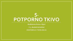 Potporno tkivo