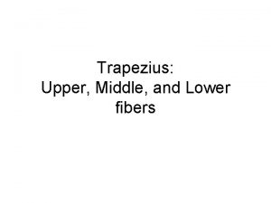 Trapezius Upper Middle and Lower fibers AxioScapular AxioClavicular