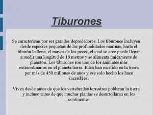 Tiburón toro vs blanco