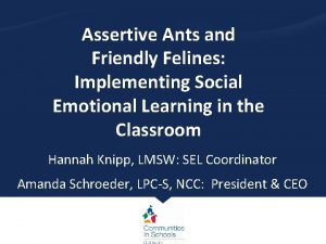 Assertive Ants and Friendly Felines Implementing Social Emotional