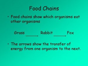 Food Chains Food chains show which organisms eat