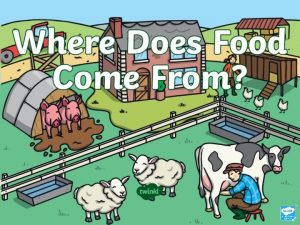Where does food come from