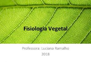 Fisiologia Vegetal Professora Luciana Ramalho 2018 Transpirao A