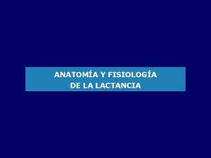 Anatomia