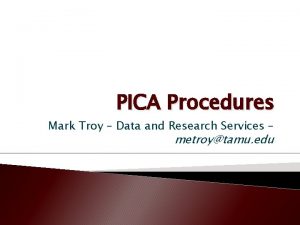 Pica tamu