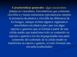 Talo cenocitico