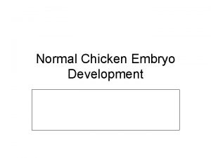 72 hours chick embryo diagram