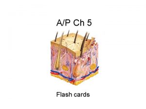 Phagocytic cells that occupy the epidermis are called