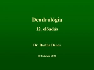 Dendrolgia 12 elads Dr Bartha Dnes 30 October