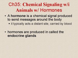 Ch 35 Chemical Signaling wi Animals w Hormones