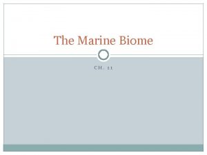 How much sunlight does the marine biome get