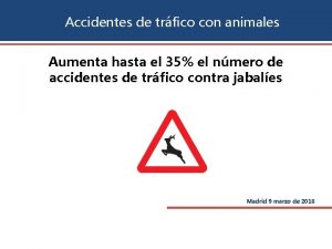 Accidentes de trfico con animales Aumenta hasta el