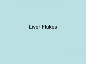 Liver Flukes Liver Flukes Opisthorchis viverrini Opisthorchis felineus