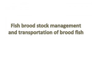 Fish brood stock management and transportation of brood