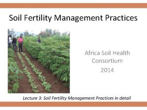 Africa soil health consortium