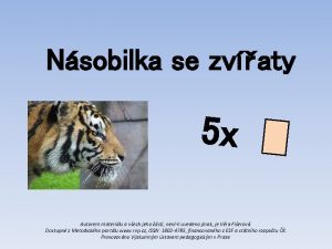 Nsobilka se zvaty 5 x Autorem materilu a