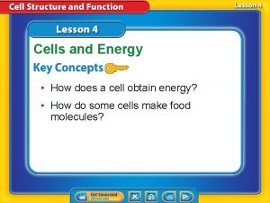 How do cells obtain energy