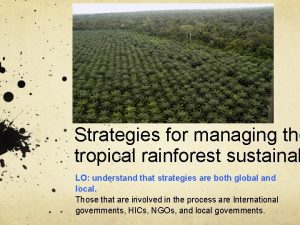 Tropical rainforest management