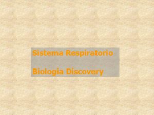 Sistema Respiratorio Biologia Discovery Sistema respiratorio Funciones del