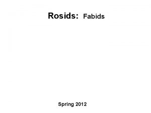 Rosids Fabids Spring 2012 Fig 8 1 Rosids