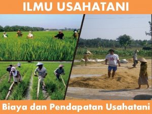 ILMU USAHATANI Biaya dan Pendapatan Usahatani FaktorFaktor yang