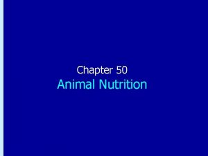 Chapter 50 Animal Nutrition Chapter 50 Animal Nutrition