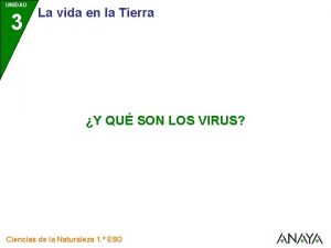 Tipos de virus humanos
