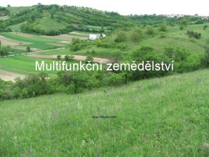 Multifunkn zemdlstv Jan Moudr 2006 Dopady vstupu R