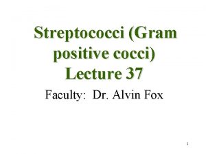 Streptococci Gram positive cocci Lecture 37 Faculty Dr