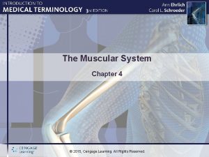 The Muscular System Chapter 4 2015 Cengage Learning