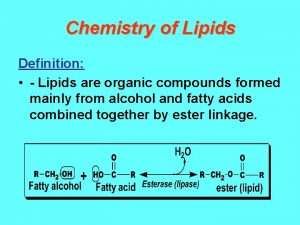 Definition of lipids