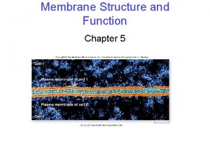 Membrane Structure and Function Chapter 5 Membrane Structure