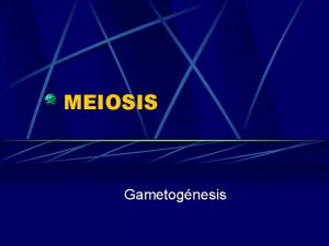 MEIOSIS Gametognesis Meiosis Proceso de divisin celular en
