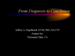 From Diagnosis to Conclusion Jeffery A Engelhardt DVM