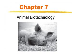 Chapter 7 Animal Biotechnology Animals in Research Animals