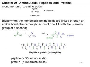 Chapter 25 Amino Acids Peptides and Proteins monomer