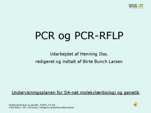 PCR og PCRRFLP Udarbejdet af Henning Ils redigeret