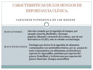 CARACTERISTICAS DE LOS HONGOS DE IMPORTANCIA CLNICA CAPACIDAD