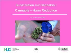 Substitution mit Cannabis Cannabis Harm Reduction Prof Dr