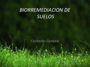 BIORREMEDIACION DE SUELOS Contexto General Presentacin Como respuesta