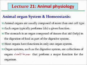 Lecture 21 Animal physiology Animal organ System Homeostasis