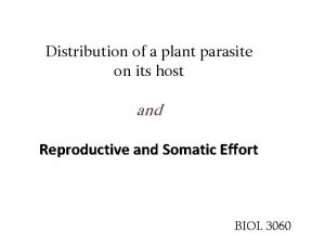 Distribution of a plant parasite on its host