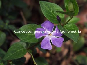 Trigonometra Trigonometra