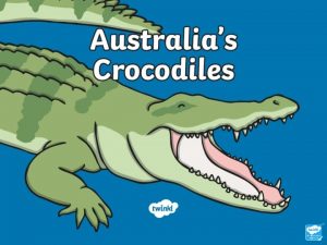 Aim To learn about the two types crocodiles