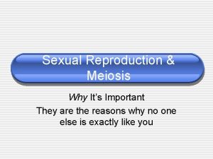 Sexual Reproduction Meiosis Why Its Important They are
