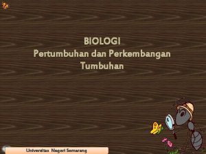 BIOLOGI Pertumbuhan dan Perkembangan Tumbuhan Universitas Semarang Universitas