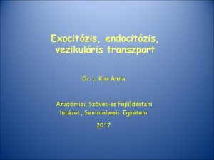 Exocitzis endocitzis vezikulris transzport Dr L Kiss Anna