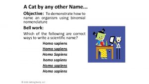 A cat by any other name worksheet answers
